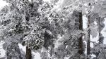 西岭雪山