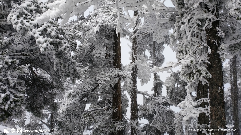 西岭雪山