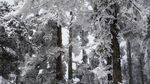 西岭雪山