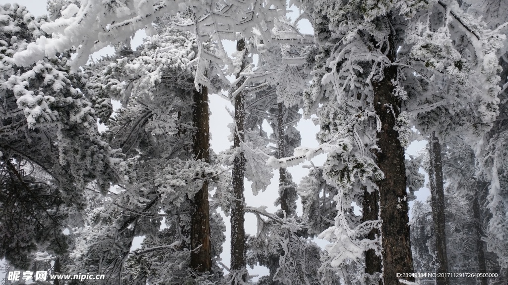 西岭雪山
