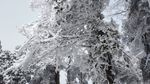 西岭雪山