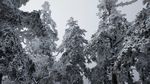 西岭雪山