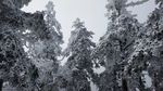西岭雪山