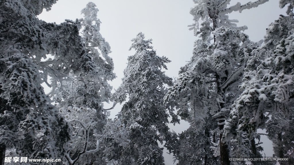 西岭雪山