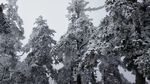 西岭雪山