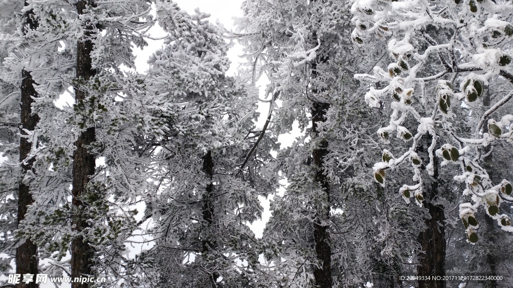 西岭雪山