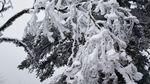 西岭雪山