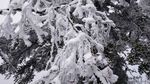 西岭雪山