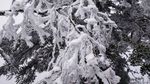 西岭雪山
