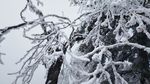 西岭雪山