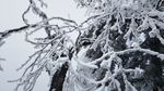 西岭雪山