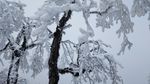 西岭雪山