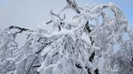 西岭雪山