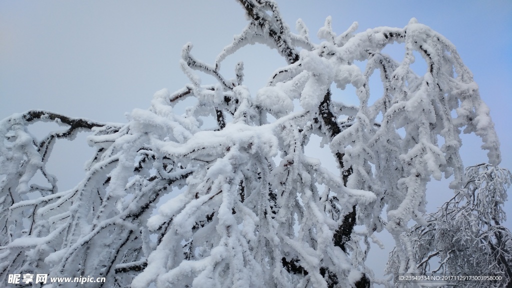 西岭雪山