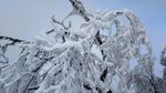西岭雪山