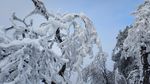 西岭雪山