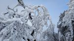 西岭雪山