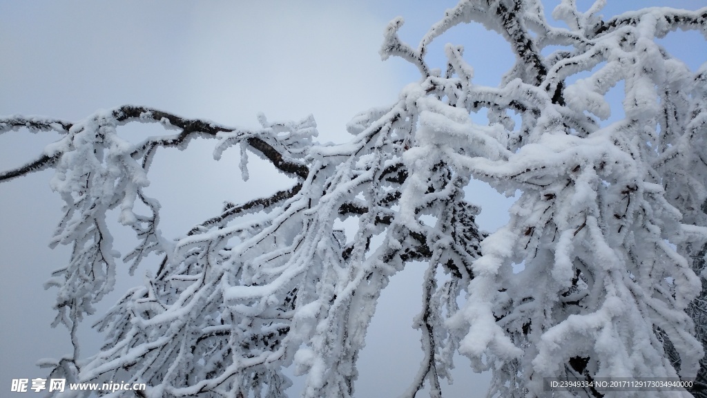西岭雪山