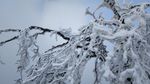 西岭雪山