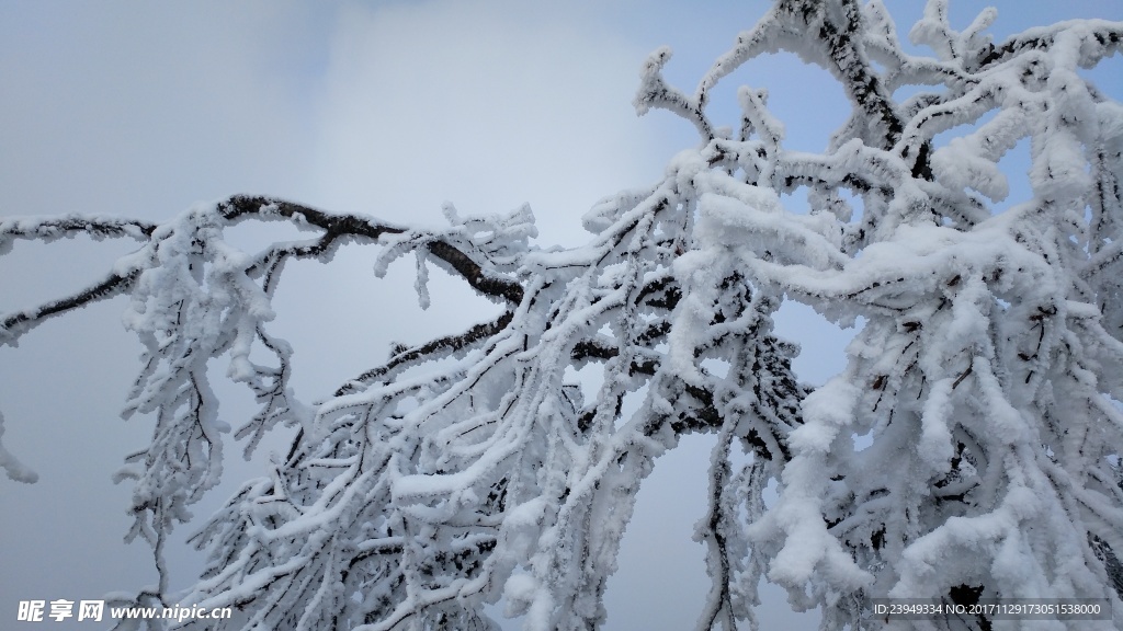 西岭雪山