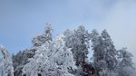 西岭雪山