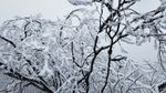 西岭雪山