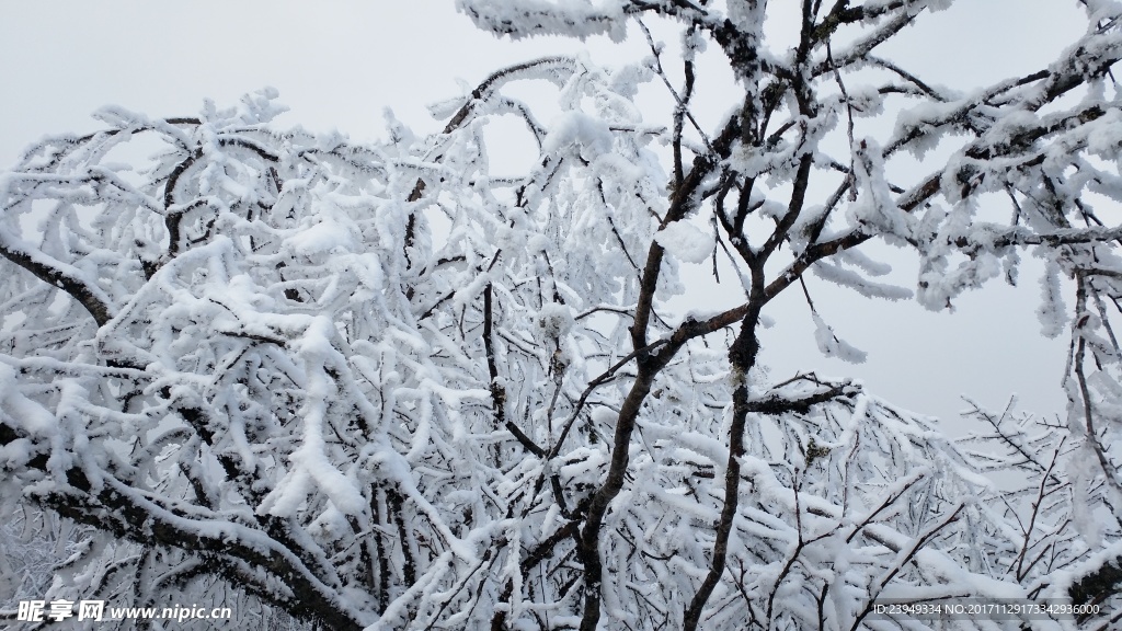 西岭雪山