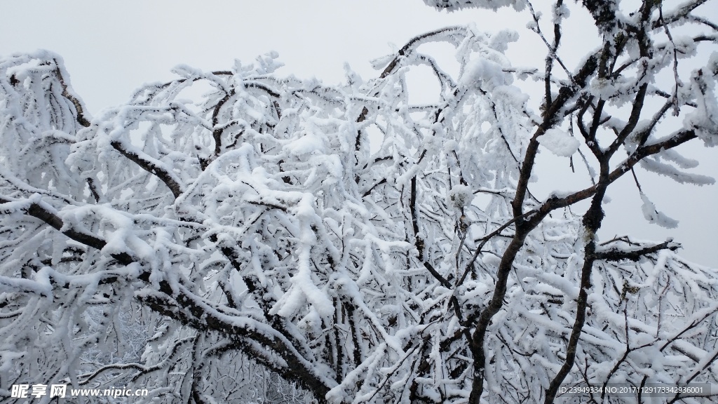 西岭雪山