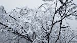 西岭雪山