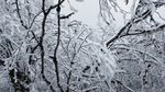 西岭雪山