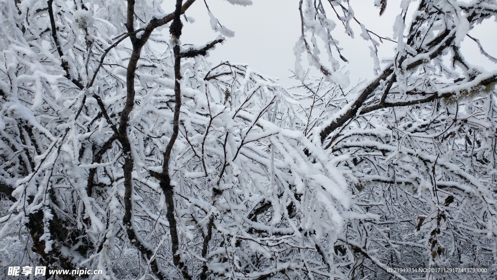 西岭雪山