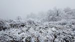 西岭雪山