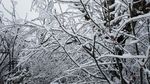 西岭雪山