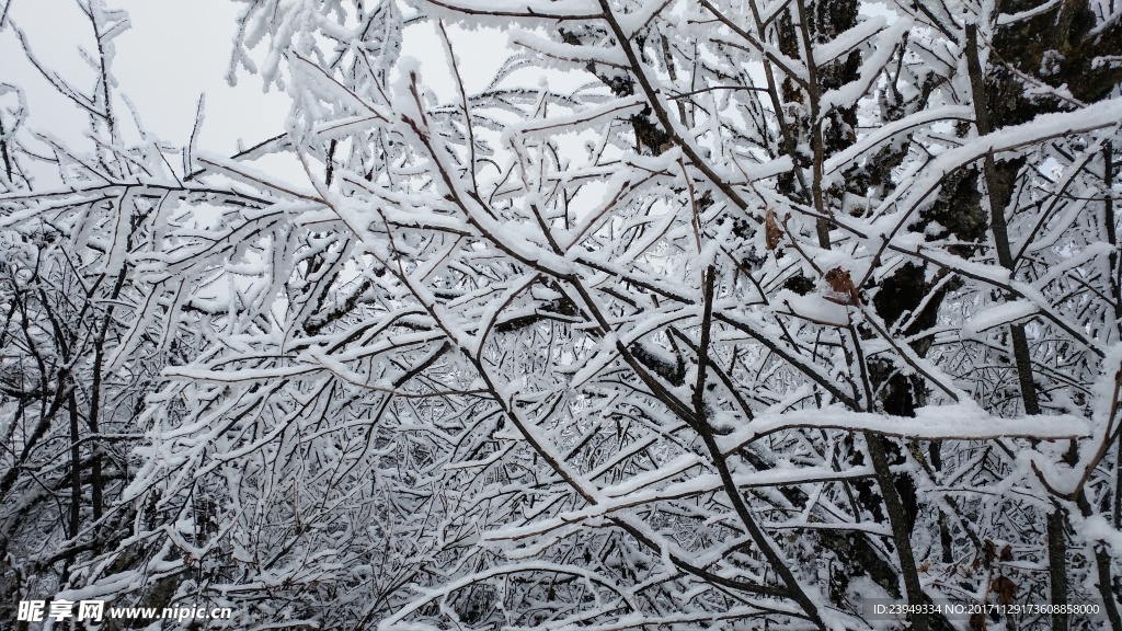 西岭雪山