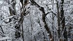西岭雪山