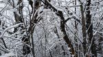 西岭雪山