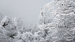 西岭雪山