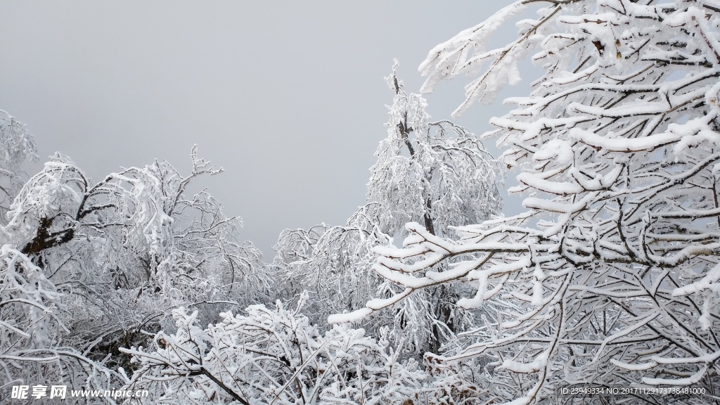 西岭雪山