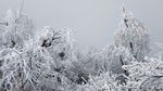 西岭雪山