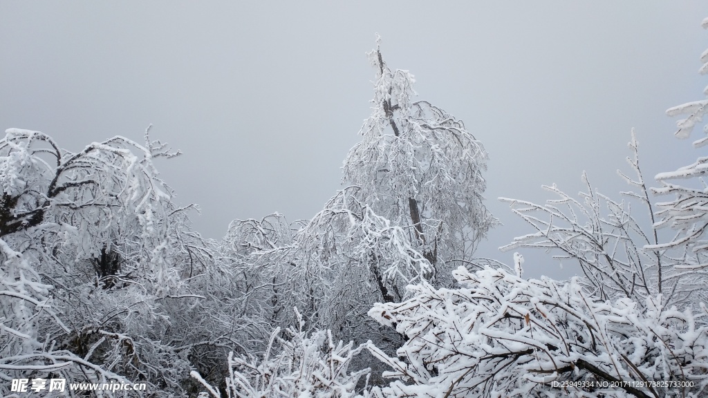 西岭雪山