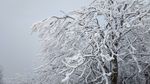 西岭雪山