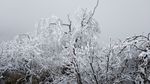 西岭雪山