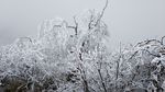 西岭雪山