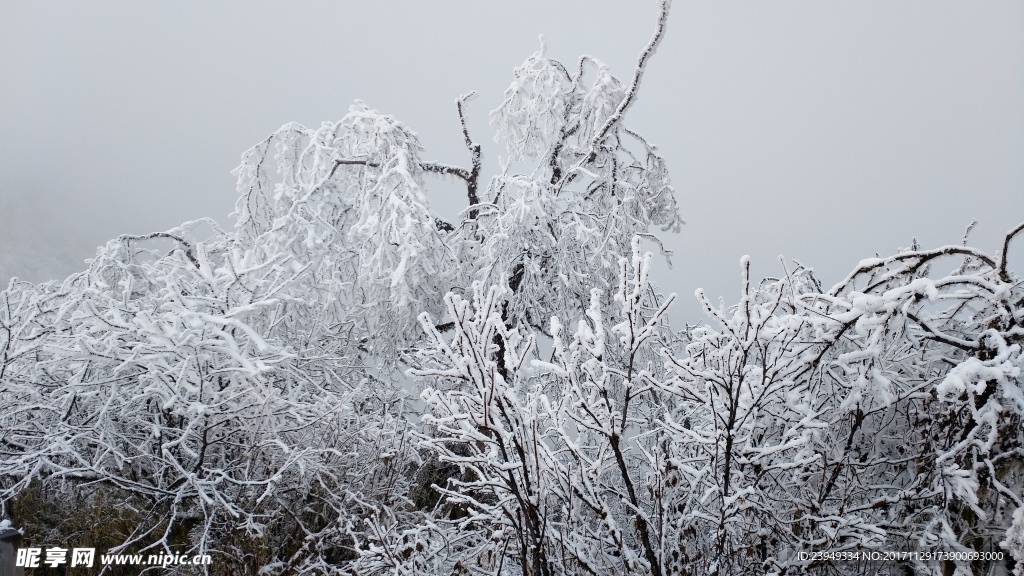 西岭雪山