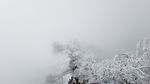 西岭雪山