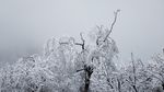 西岭雪山