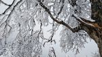 西岭雪山