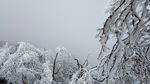西岭雪山