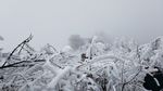 西岭雪山