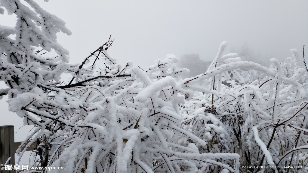 西岭雪山